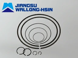 Inner Snap Ring