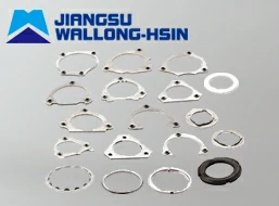 Other Rings