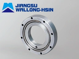 RU series robot bearing