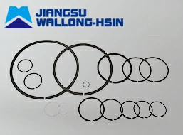 Snap Ring For Bearings