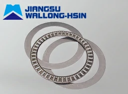 Thrust needle roller bearing